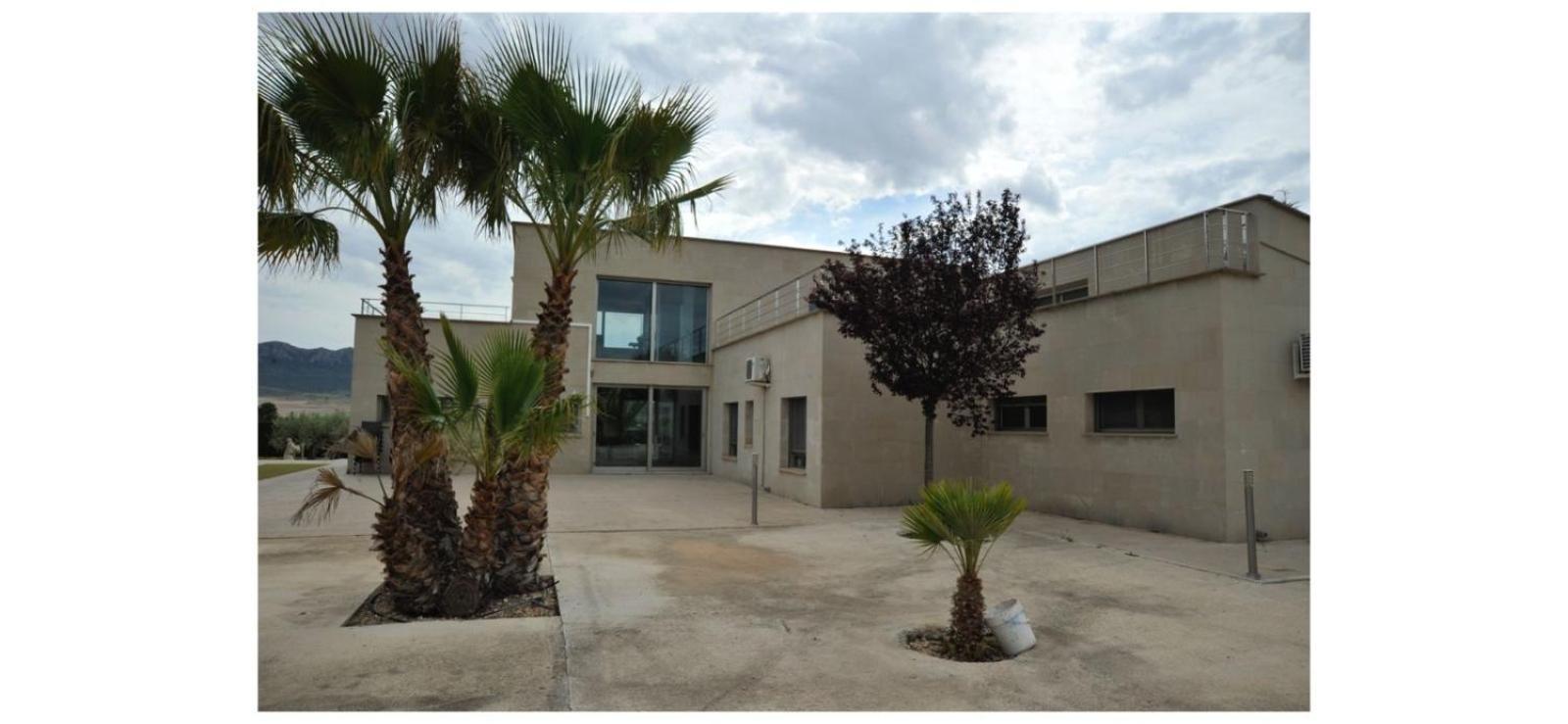 Villa Campo Premium Yecla Εξωτερικό φωτογραφία